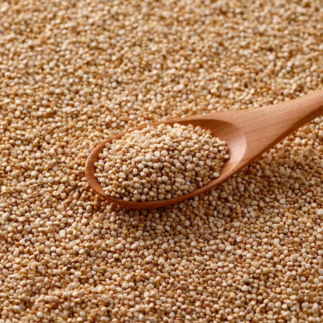 Premium Quinoa Seeds – 100% Natural & Protein Rich