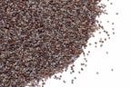 Premium Poppy Seeds - khashkhash